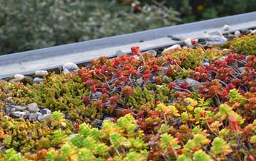 the cost of Modest Corner green roof installation