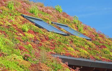 Modest Corner living roof systems